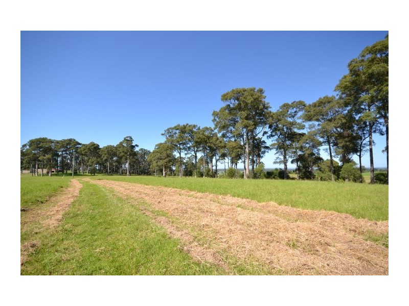 Lot 11 Devitts Lane, Meroo Meadow NSW 2540