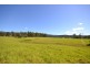 Lot 11 Devitts Lane, Meroo Meadow NSW 2540