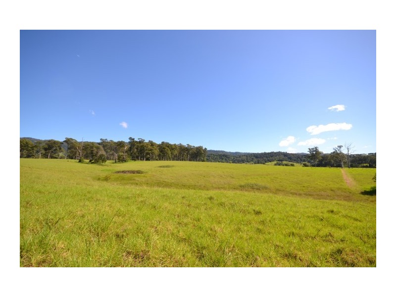 Lot 11 Devitts Lane, Meroo Meadow NSW 2540