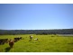 72 Bamarang Road, Bamarang NSW 2540