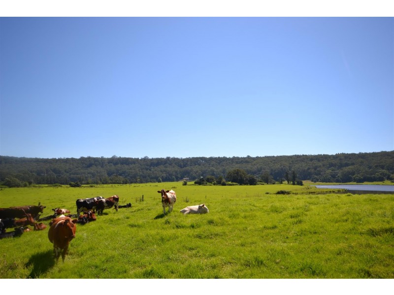 72 Bamarang Road, Bamarang NSW 2540
