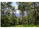 679a Mt Scanzi Road, Kangaroo Valley NSW 2577