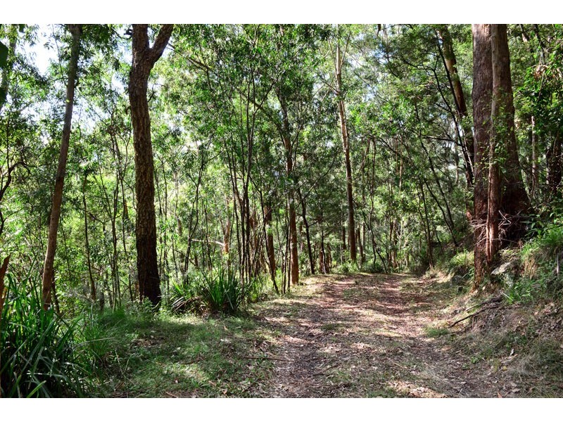 679a Mt Scanzi Road, Kangaroo Valley NSW 2577