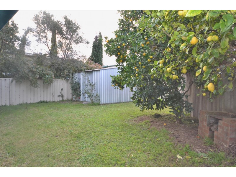49 Douglas Street, Nowra NSW 2541