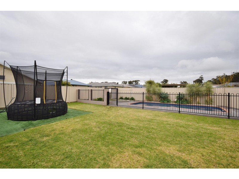 8 Regelia Parade, Worrigee NSW 2540