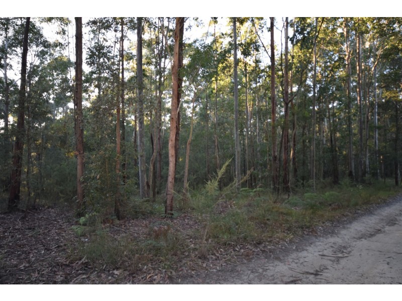 Lot 80 Invermay Avenue, Tomerong NSW 2540