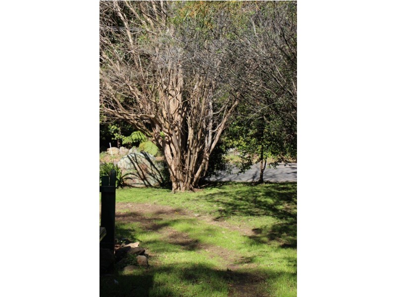 37 Tarawara Street, Bomaderry NSW 2541