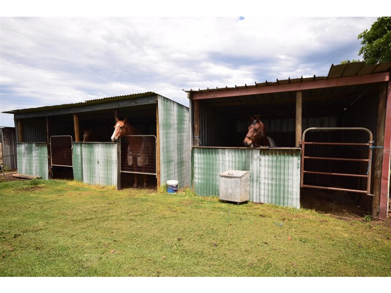 181A BTU Road, Nowra Hill NSW 2540