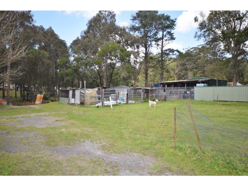 D953 Princes Highway, Falls Creek NSW 2540
