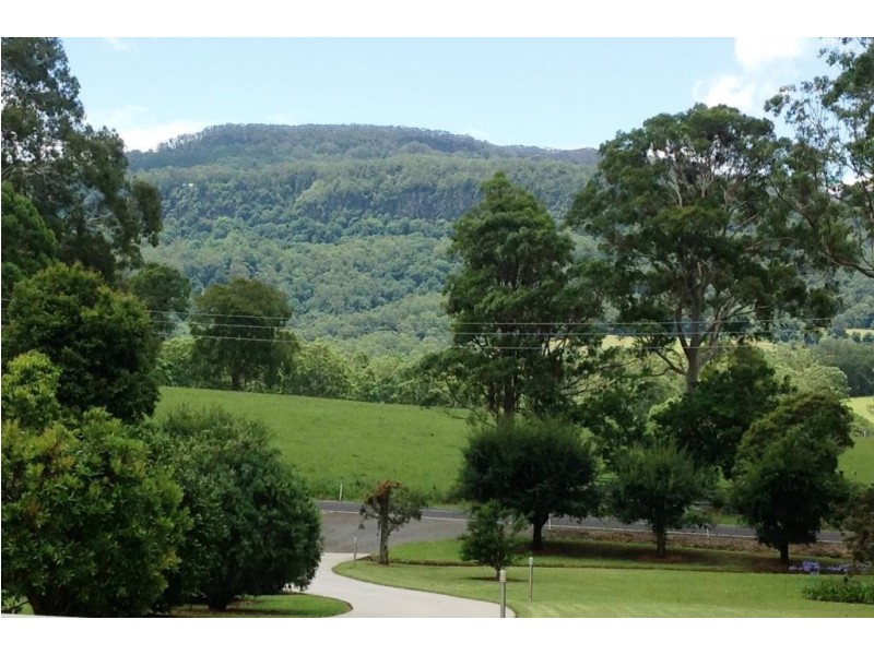 789 Illaroo Road, Tapitallee NSW 2540