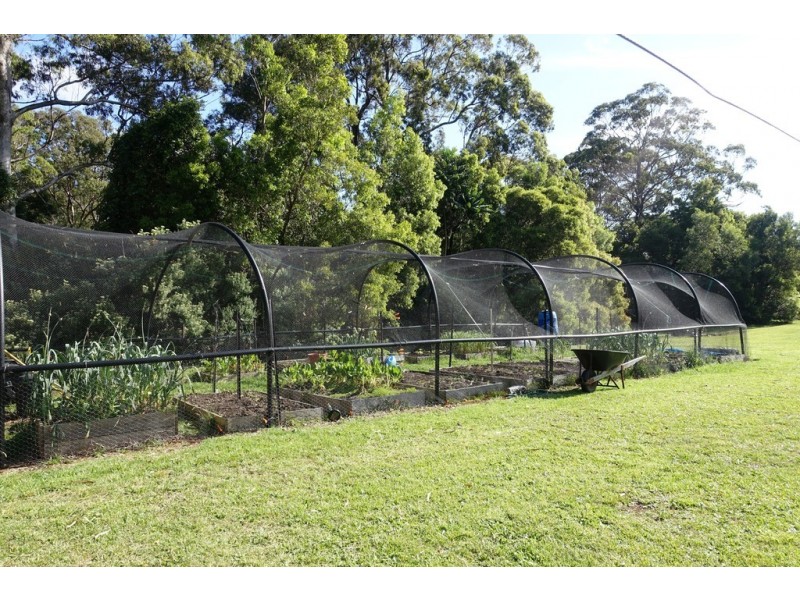 1065 Kangaroo Valley Road, Bellawongarah NSW 2535