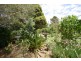 42 Worrigee Road, Worrigee NSW 2540