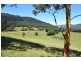 110 Jacks Corner Road, Kangaroo Valley NSW 2577