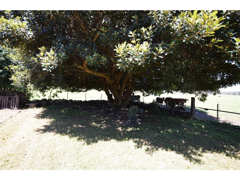 1364 Comerong Island Road, Comerong Island NSW 2540