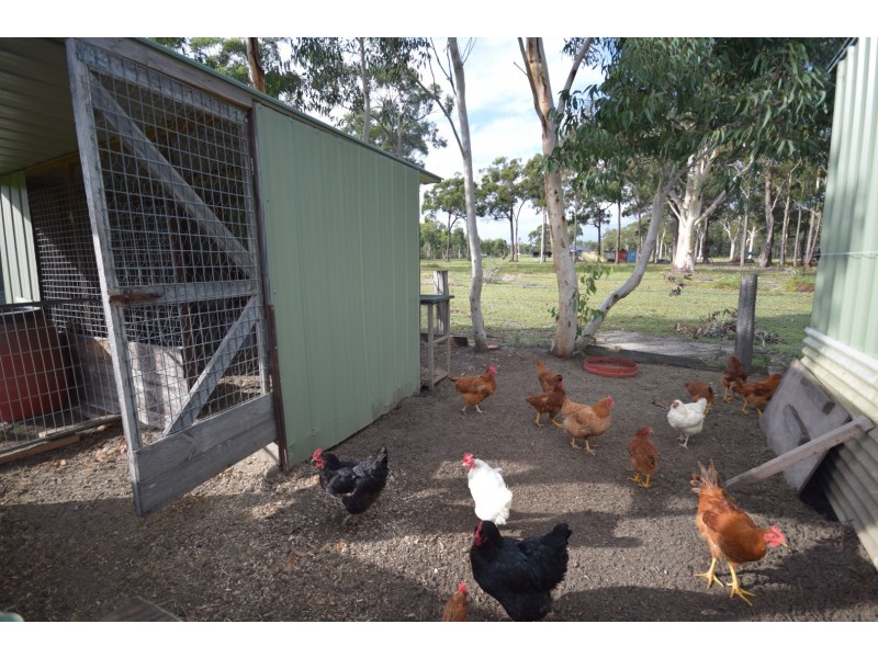 50A Watt Road, Falls Creek NSW 2540