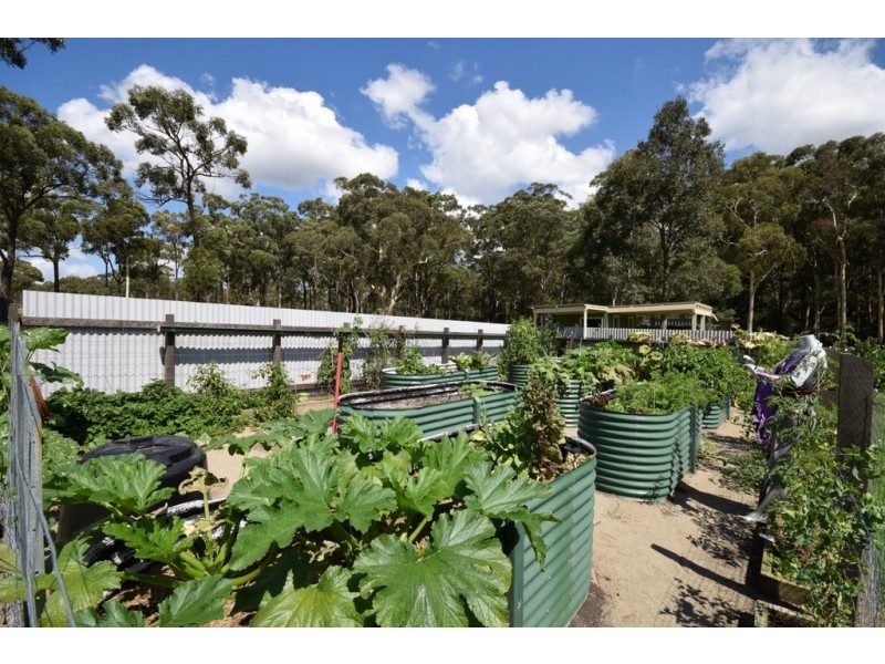 50A Watt Road, Falls Creek NSW 2540