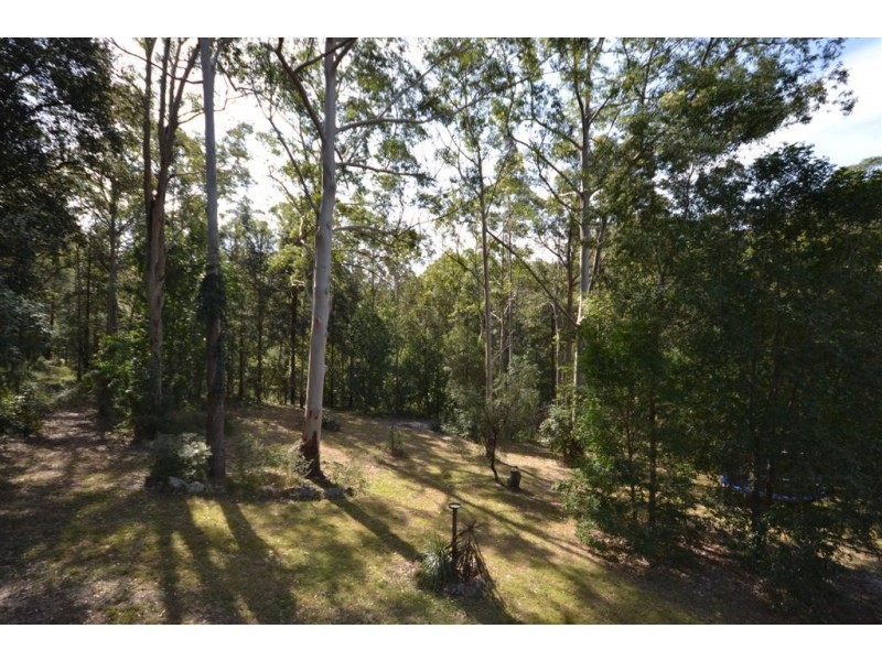 910 Illaroo Road, Tapitallee NSW 2540