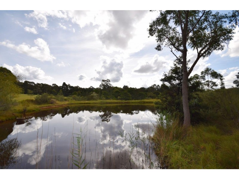 17 Greenmeadow Lane, Nowra Hill NSW 2540