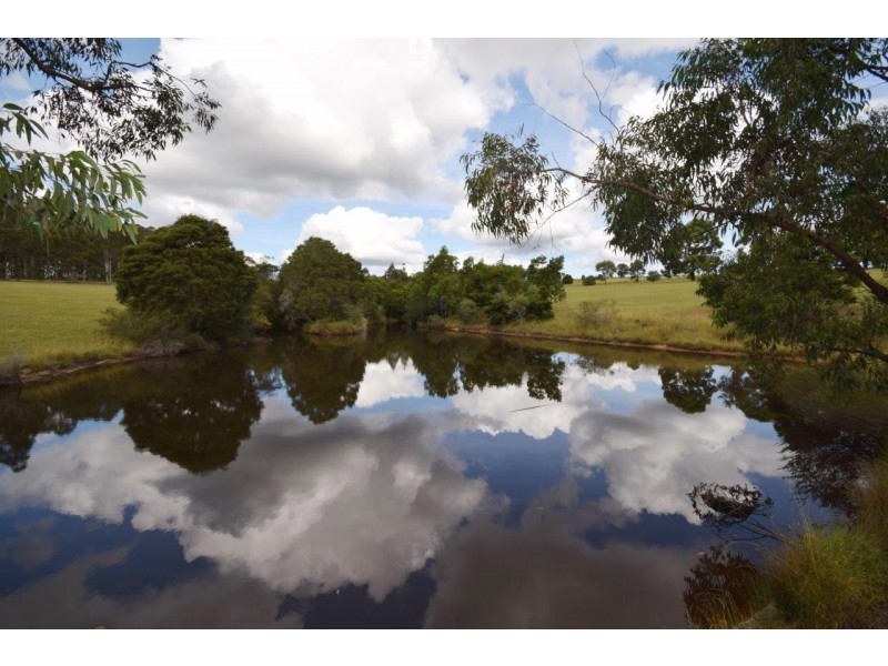 17 Greenmeadow Lane, Nowra Hill NSW 2540