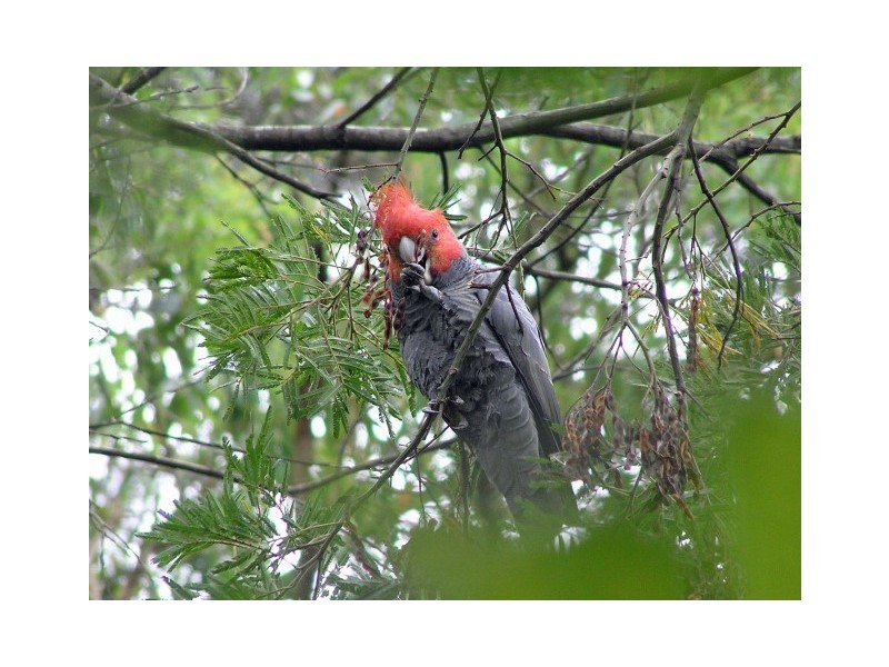 166 Bendeela Road, Kangaroo Valley NSW 2577