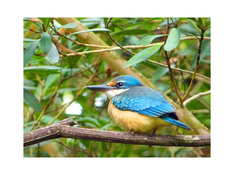 166 Bendeela Road, Kangaroo Valley NSW 2577