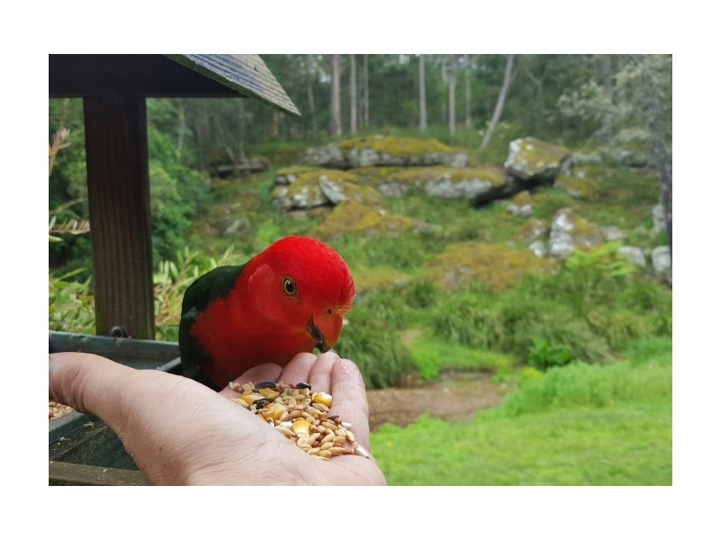 166 Bendeela Road, Kangaroo Valley NSW 2577