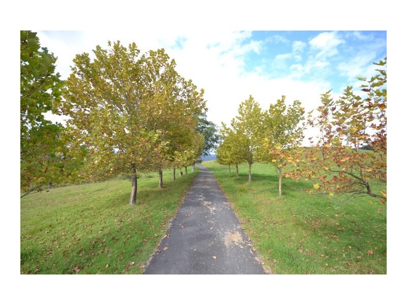 Lot 4 Merchants Road, Kangaroo Valley NSW 2577