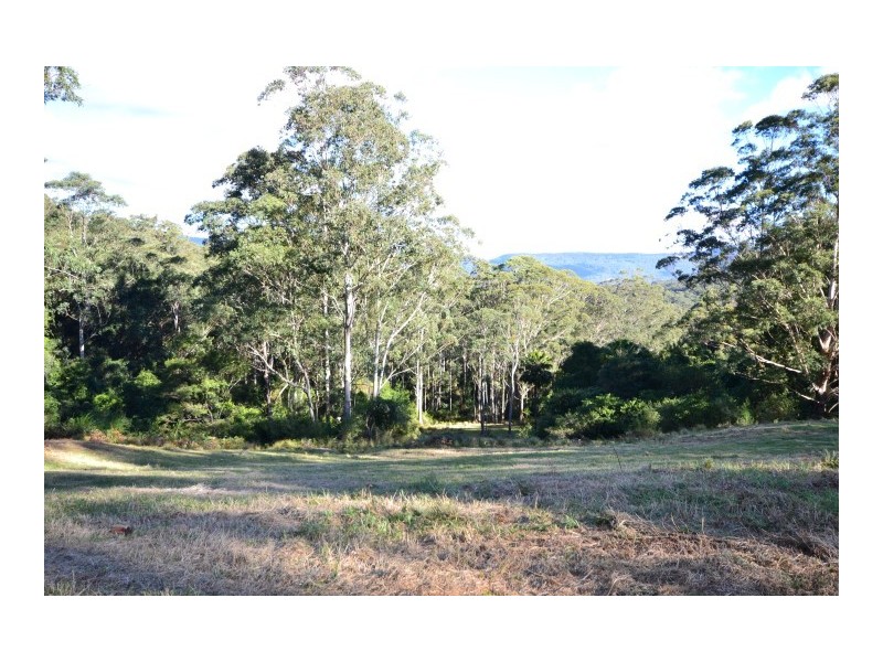 Lot 5 Cedar Springs Road, Kangaroo Valley NSW 2577