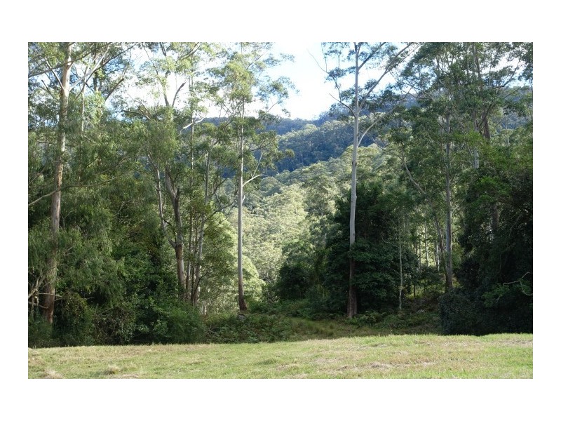 Lot 5 Cedar Springs Road, Kangaroo Valley NSW 2577