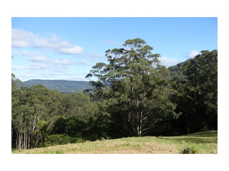 Lot 5 Cedar Springs Road, Kangaroo Valley NSW 2577