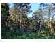 210 Allans Road, Kangaroo Valley NSW 2577