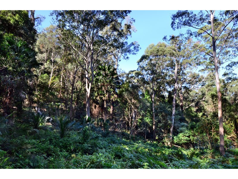210 Allans Road, Kangaroo Valley NSW 2577