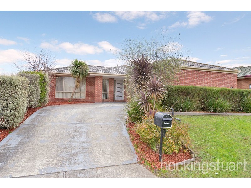 19 Balmaceda Court, Berwick VIC 3806