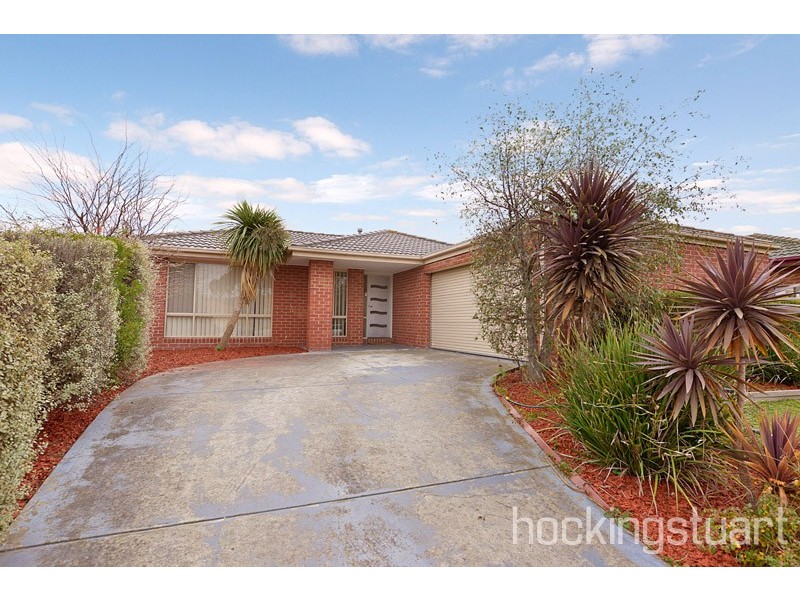 19 Balmaceda Court, Berwick VIC 3806