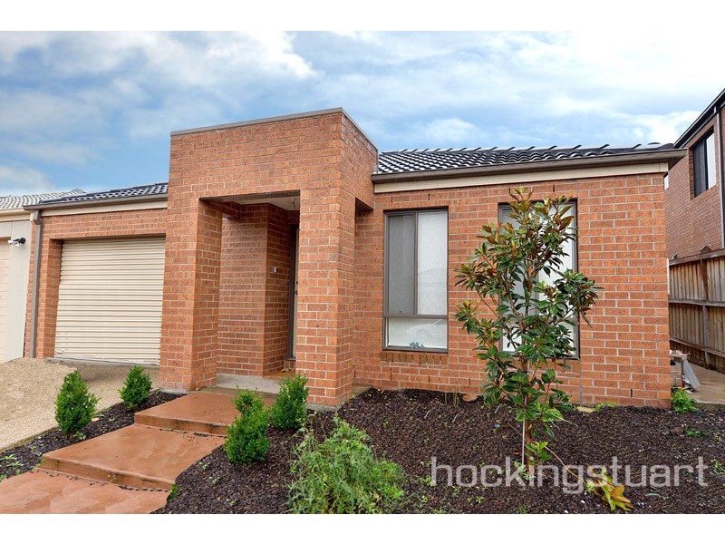 37 Tyrell Place, Berwick VIC 3806
