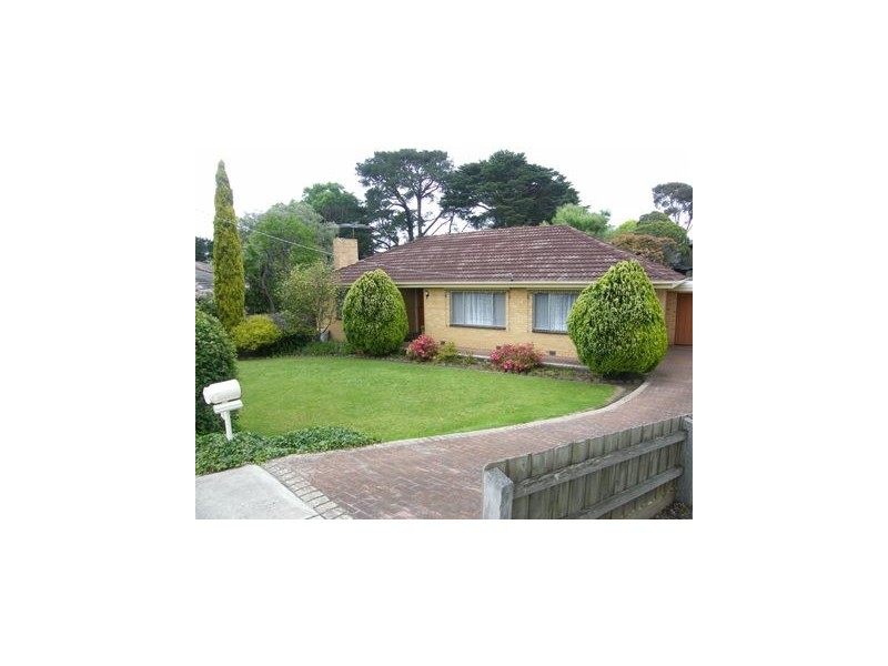 19 Hazeldene Street, Berwick VIC 3806