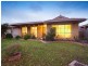 64 Bellevue Drive, Berwick VIC 3806