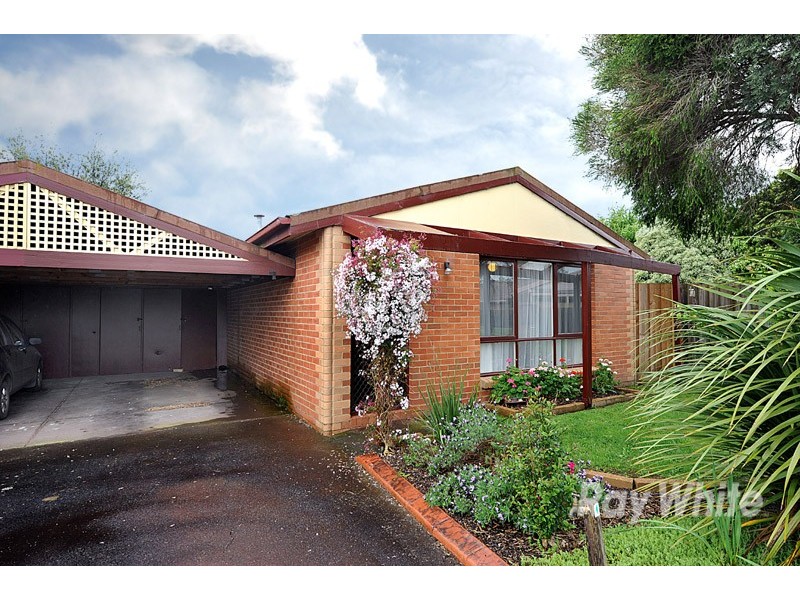 17 Warren Close, Narre Warren VIC 3805