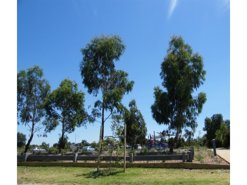 51 Norfolk Drive, Narre Warren VIC 3805