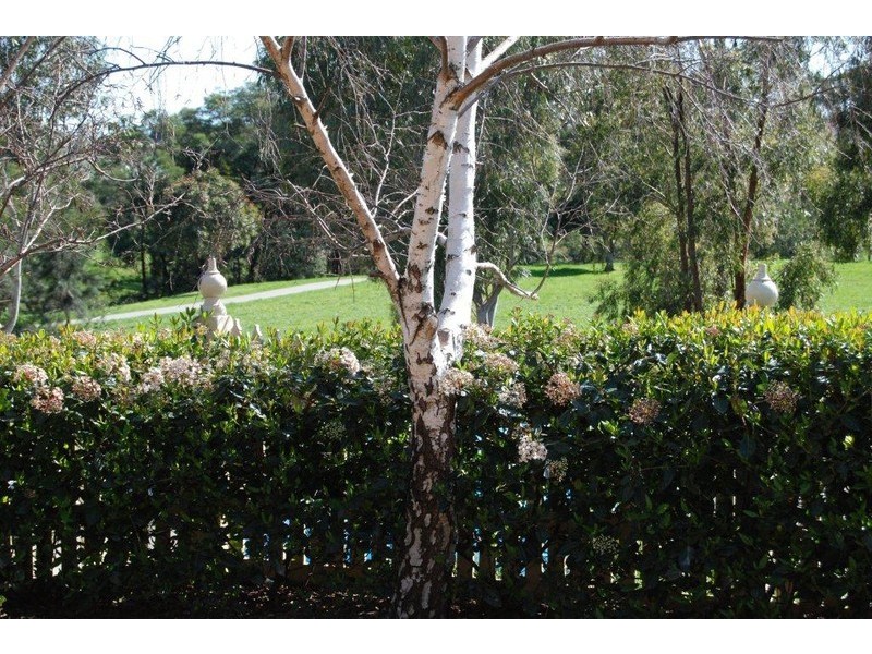 5 Adelong Court, Berwick VIC 3806