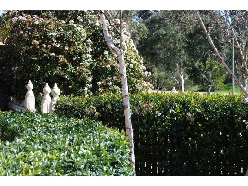 5 Adelong Court, Berwick VIC 3806