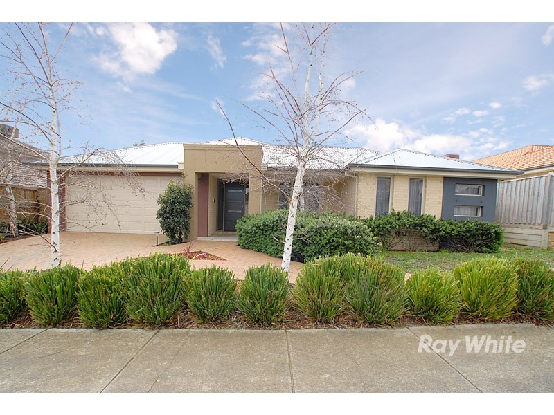 6 Cedarwood Crescent, Berwick VIC 3806