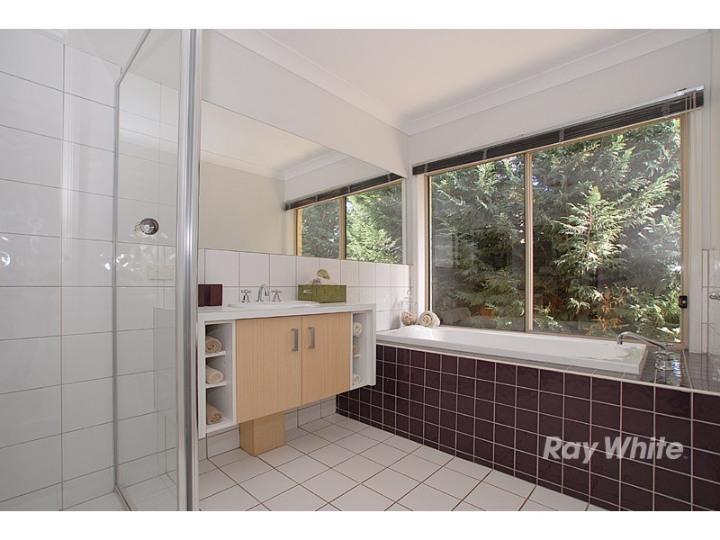 6 Cedarwood Crescent, Berwick VIC 3806