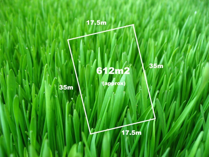 20 MacQuarie Circuit, Pakenham VIC 3810