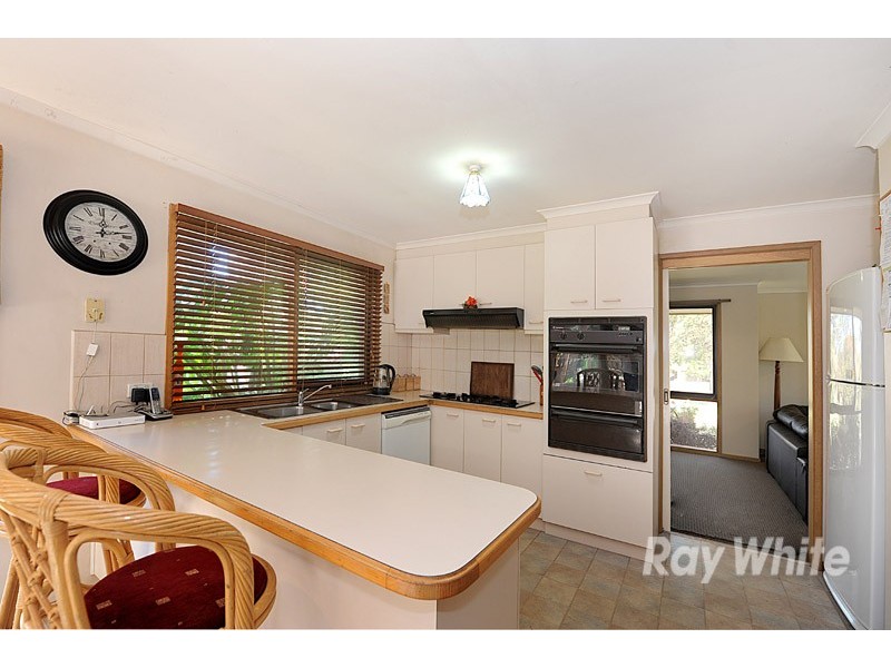 16 Hedgley Drive, Berwick VIC 3806