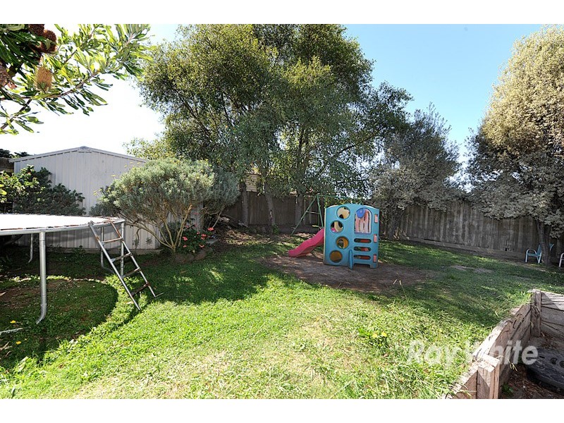 16 Hedgley Drive, Berwick VIC 3806
