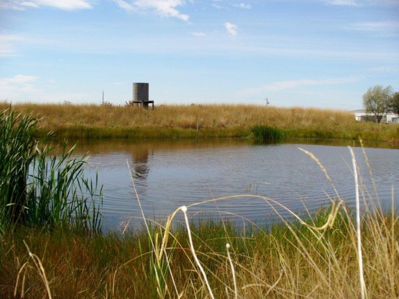 775 Tooradin Station Road, Clyde VIC 3978