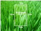 Lot 715 Hackney Circuit, Clyde North VIC 3978