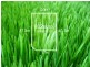 Lot 207 (26) Glenview Rise, Berwick VIC 3806