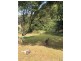 Lot 1-2 Bunya Mountains Road, Bunya Mountains QLD 4405